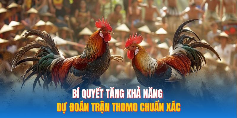 Bí quyết tăng khả năng dự đoán trận Thomo chuẩn xác