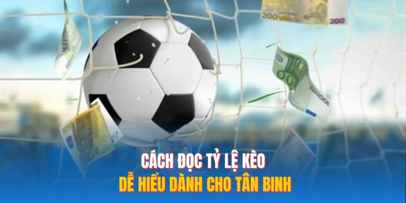 Cách đọc tỷ lệ kèo dễ hiểu dành cho tân binh