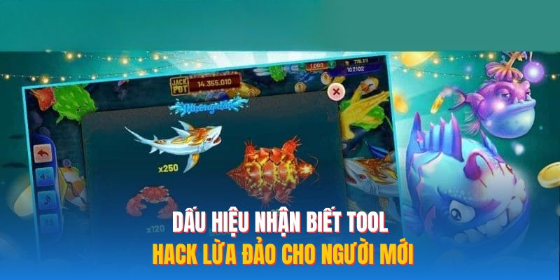 Dấu hiệu nhận biết tool hack lừa đảo cho người mới
