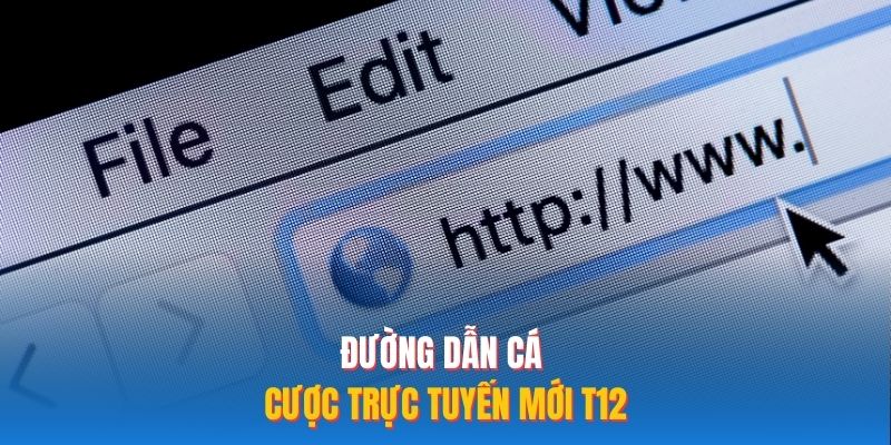 Đường dẫn cá cược trực tuyến mới nhất 2026