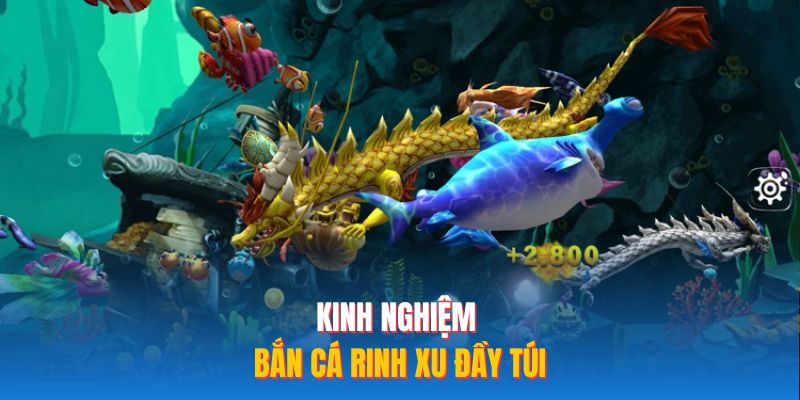Kinh nghiệm bắn cá rinh xu đầy túi