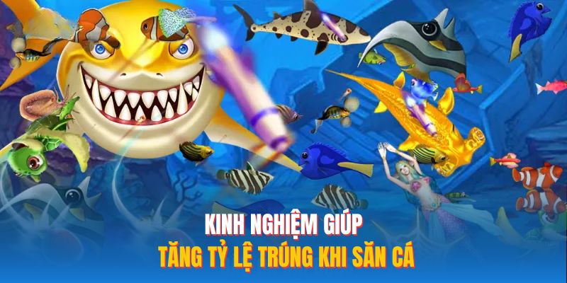 Kinh nghiệm giúp tăng tỷ lệ trúng khi săn cá
