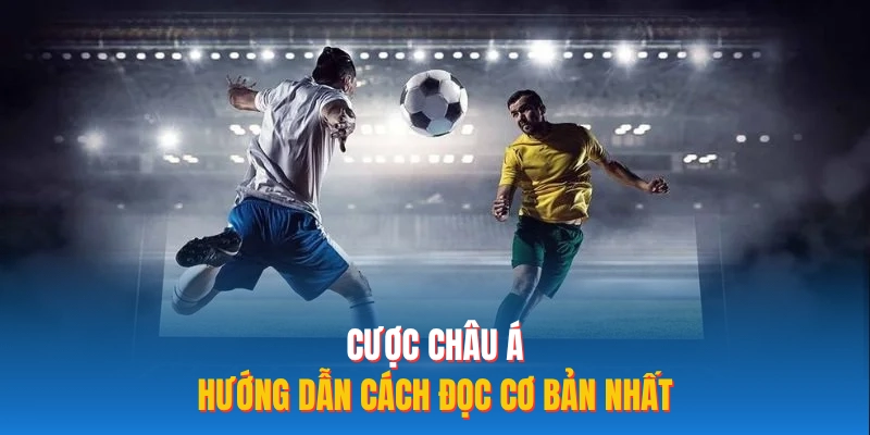 Cược Châu Á - Hướng dẫn cách đọc cơ bản nhất